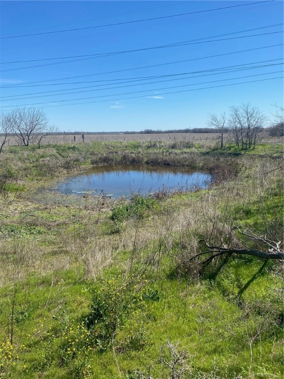 TBD Cr 459, Troy, Texas image 4