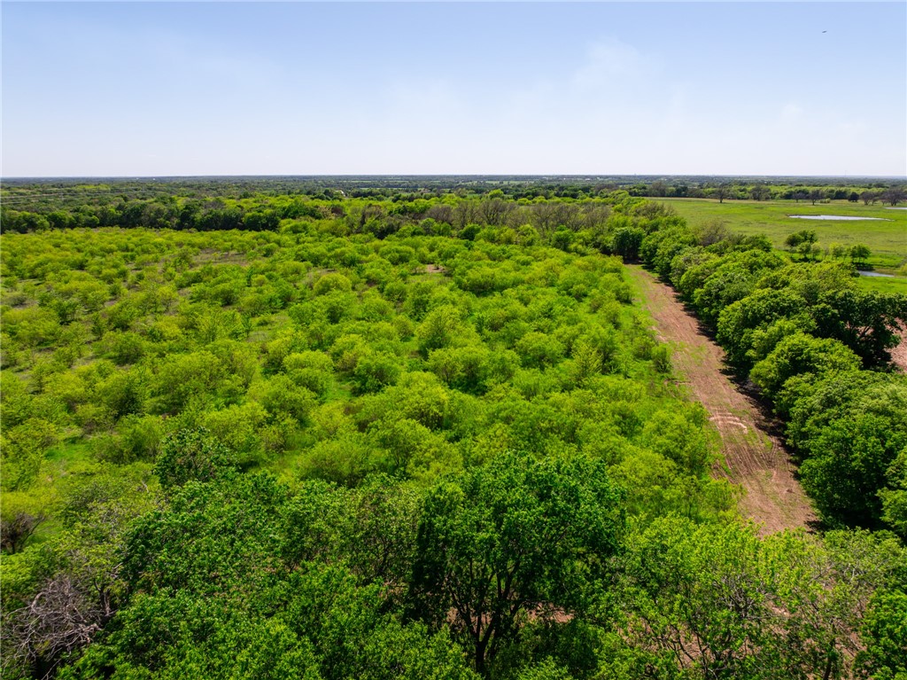 TBD Hcr 2302 S, Abbott, Texas image 6