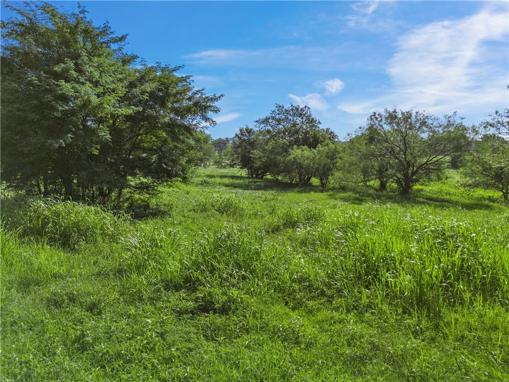 494 Quillian Trace, Waco, Texas image 6