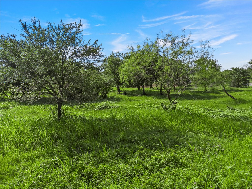 494 Quillian Trace, Waco, Texas image 4