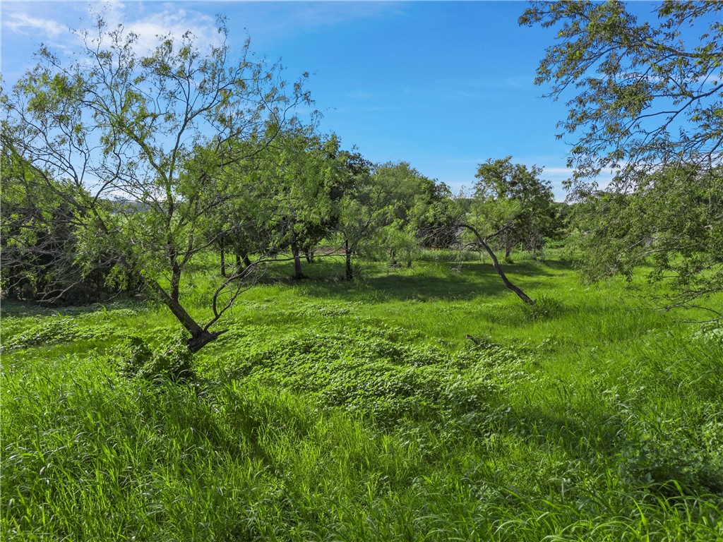 494 Quillian Trace, Waco, Texas image 3