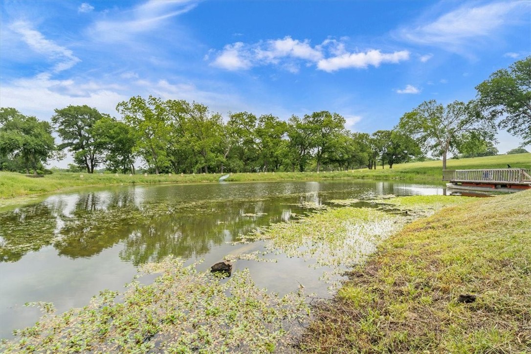 541 Lcr 131, Mount Calm, Texas image 46