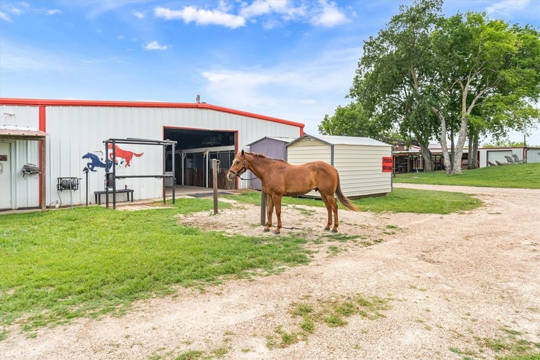 541 Lcr 131, Mount Calm, Texas image 50