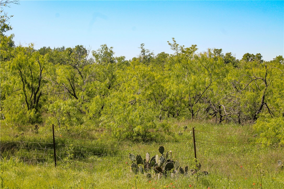 TBD Fm 2269, Cameron, Texas image 2