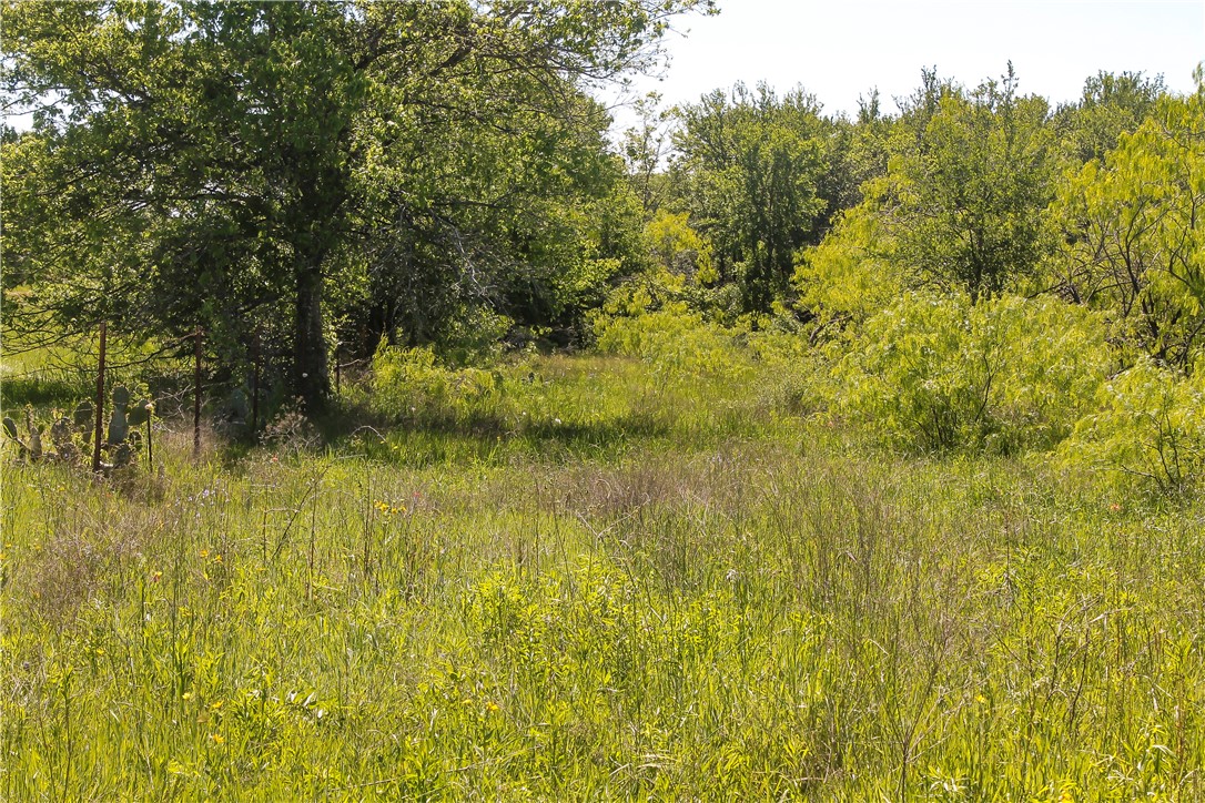 TBD Fm 2269, Cameron, Texas image 4