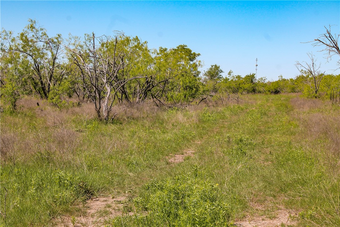 TBD Fm 2269, Cameron, Texas image 1