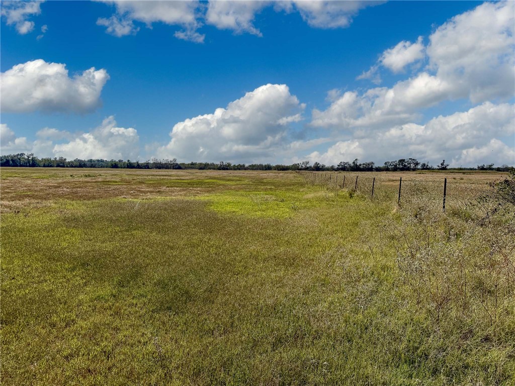 30 Acres Fm 2745 Road, Kosse, Texas image 8