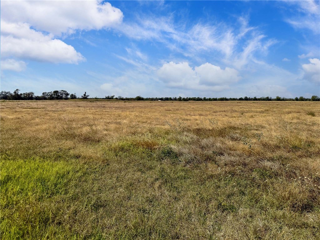 30 Acres Fm 2745 Road, Kosse, Texas image 10