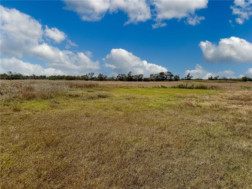 30 Acres Fm 2745 Road, Kosse, Texas image 12