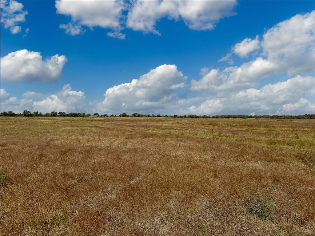 30 Acres Fm 2745 Road, Kosse, Texas image 17