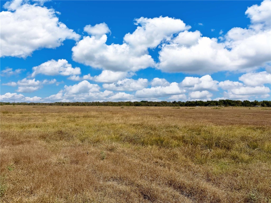 30 Acres Fm 2745 Road, Kosse, Texas image 18