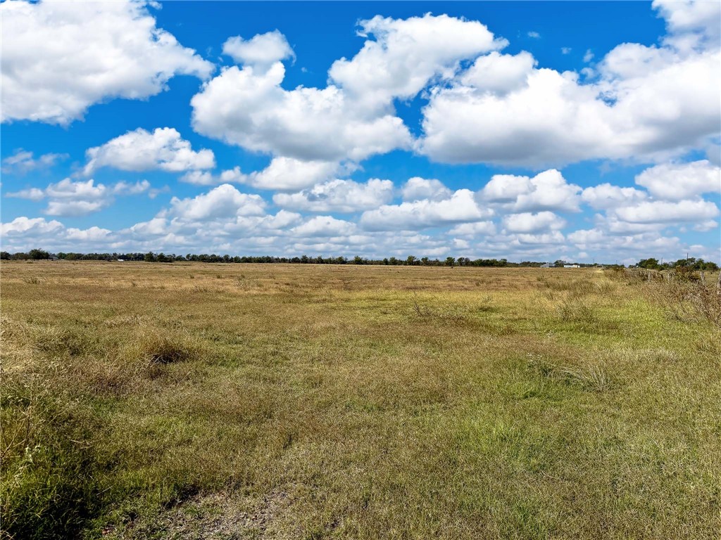 30 Acres Fm 2745 Road, Kosse, Texas image 9