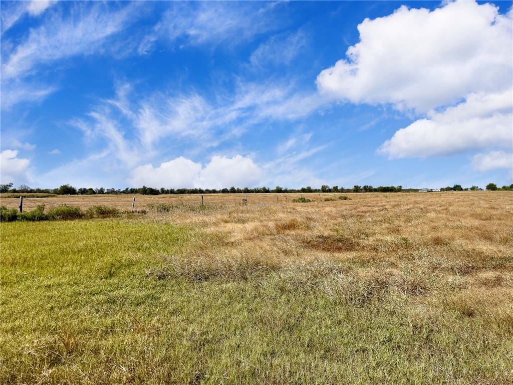 30 Acres Fm 2745 Road, Kosse, Texas image 14