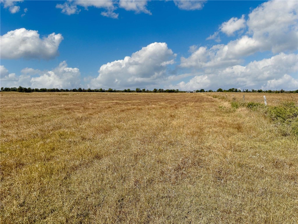 30 Acres Fm 2745 Road, Kosse, Texas image 15