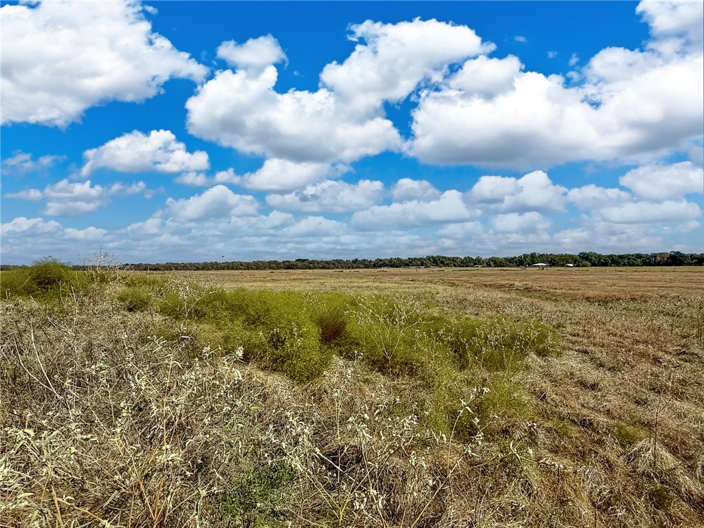 30 Acres Fm 2745 Road, Kosse, Texas image 20