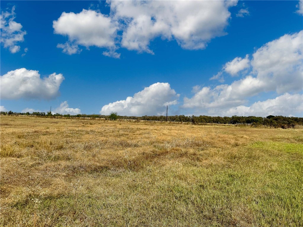 30 Acres Fm 2745 Road, Kosse, Texas image 11