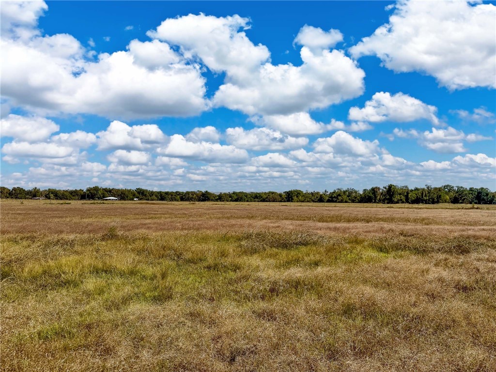 30 Acres Fm 2745 Road, Kosse, Texas image 19