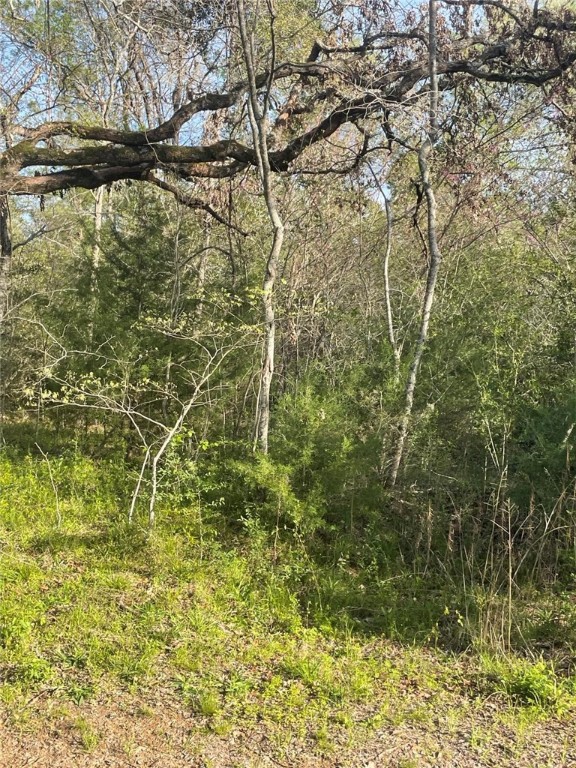 TBD Fm 542 Road, Oakwood, Texas image 8