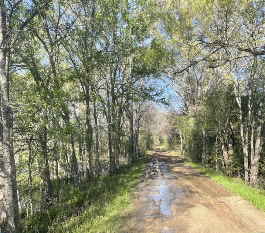 TBD Fm 542 Road, Oakwood, Texas image 1