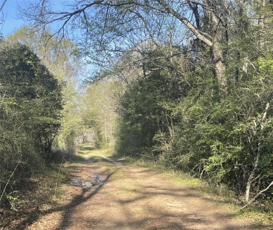 TBD Fm 542 Road, Oakwood, Texas image 10