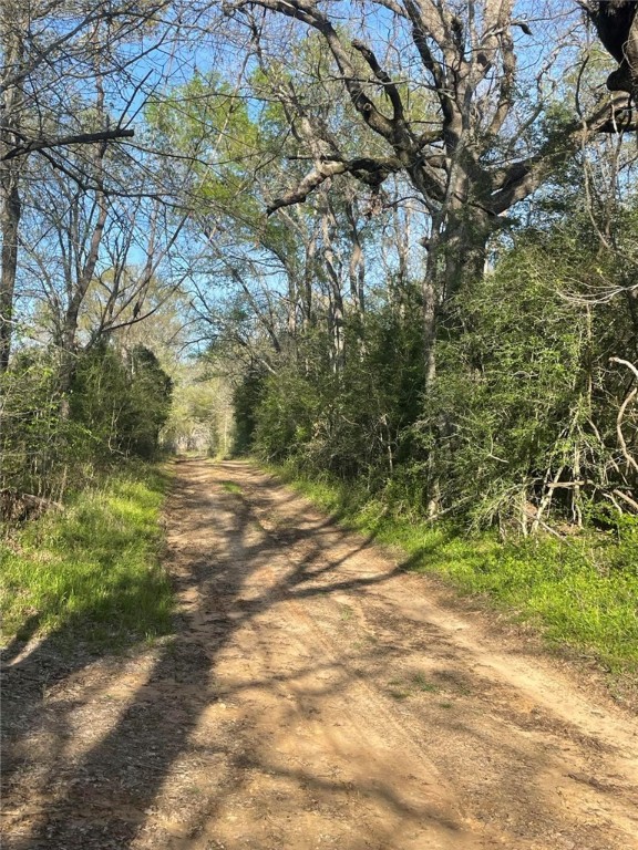 TBD Fm 542 Road, Oakwood, Texas image 5