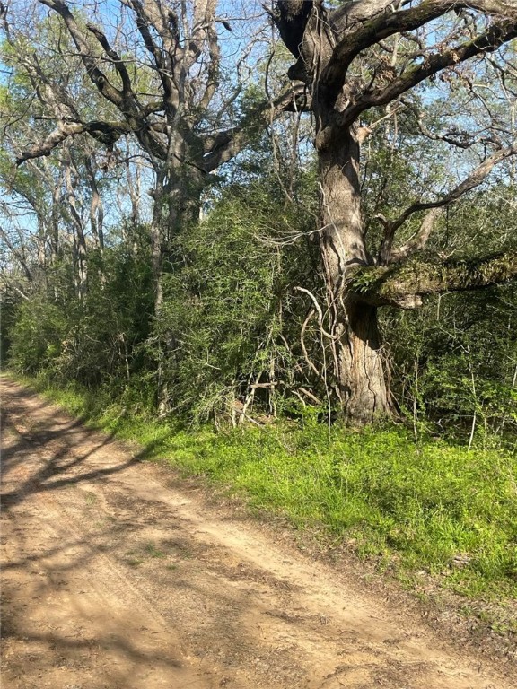 TBD Fm 542 Road, Oakwood, Texas image 2