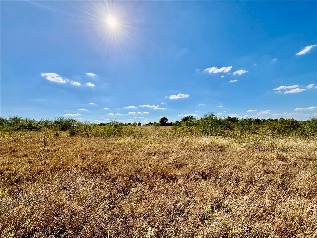 TBD Willow Grove Road, Woodway, Texas image 8