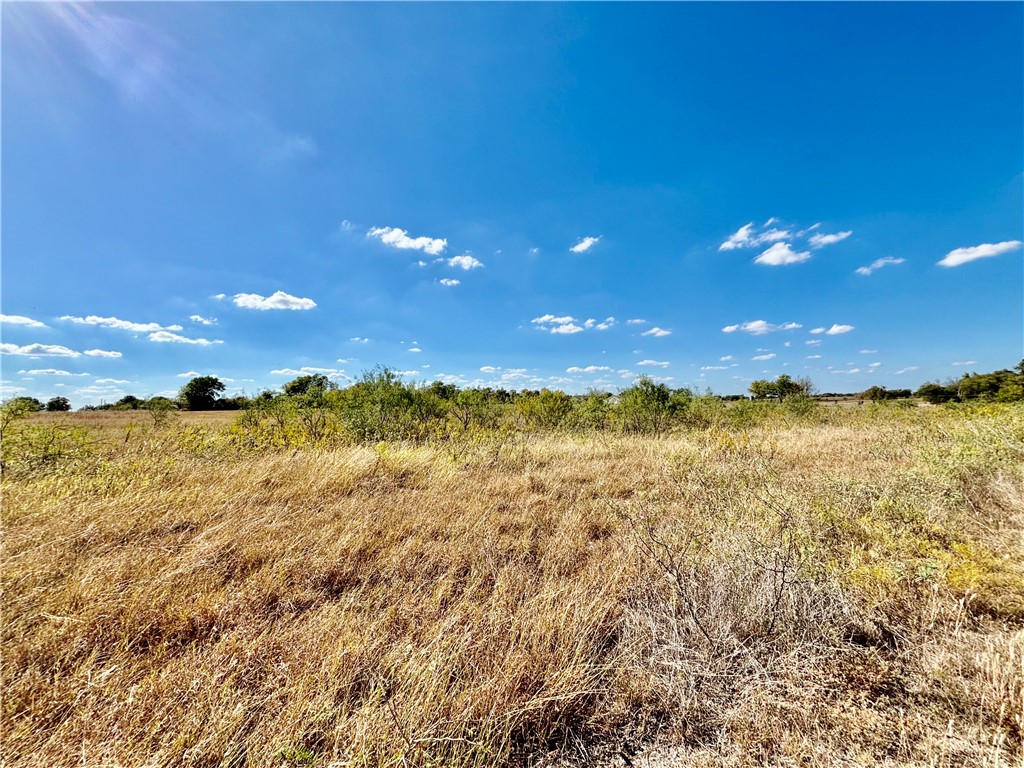 TBD Willow Grove Road, Woodway, Texas image 9