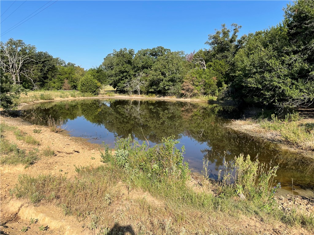 218 Lcr 793 Road, Groesbeck, Texas image 47