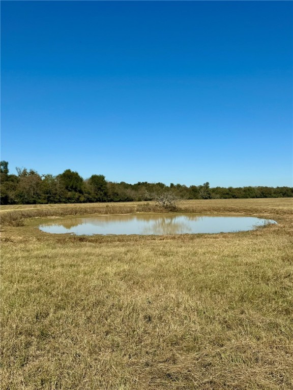 165 Ac Turner Lane, Franklin, Texas image 8