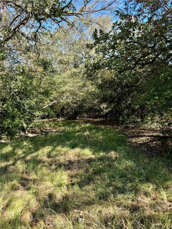 165 Ac Turner Lane, Franklin, Texas image 15