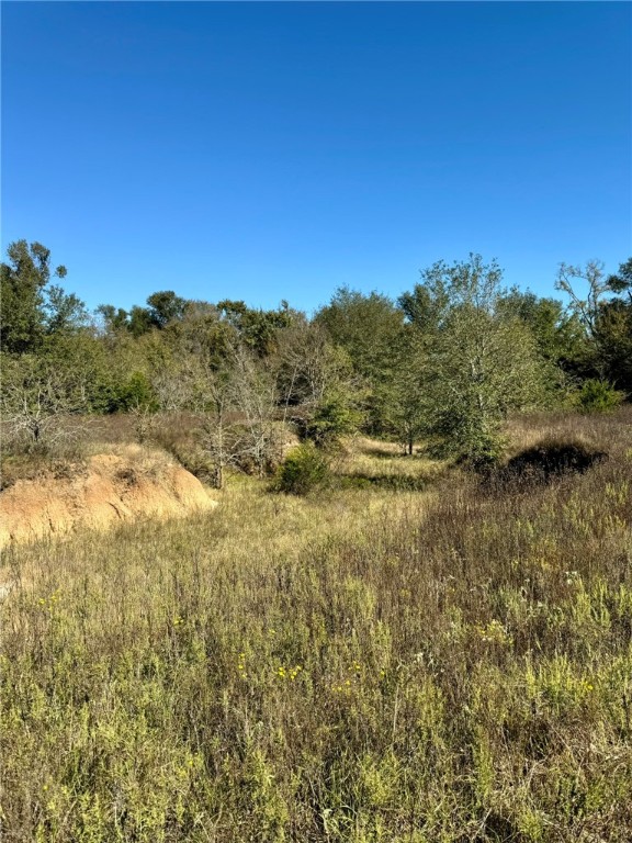 165 Ac Turner Lane, Franklin, Texas image 12