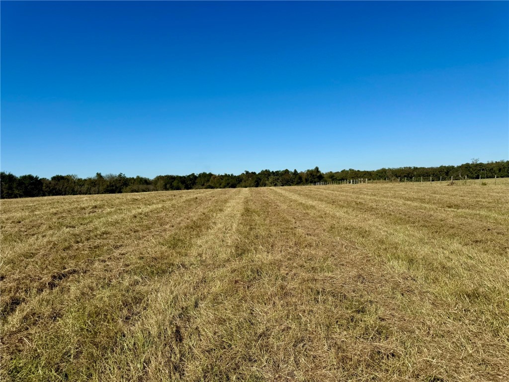 165 Ac Turner Lane, Franklin, Texas image 7