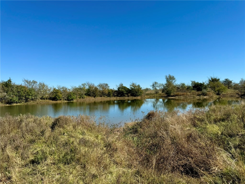 165 Ac Turner Lane, Franklin, Texas image 13