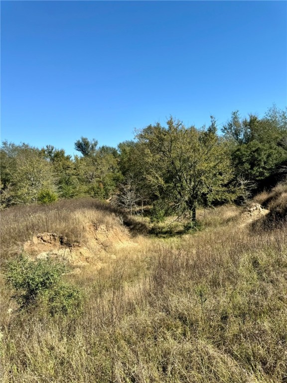 165 Ac Turner Lane, Franklin, Texas image 11