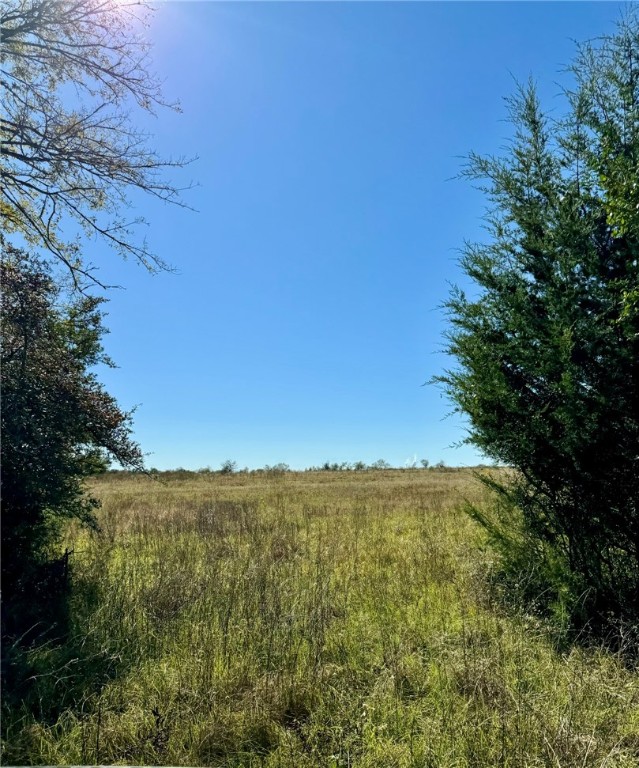 165 Ac Turner Lane, Franklin, Texas image 3