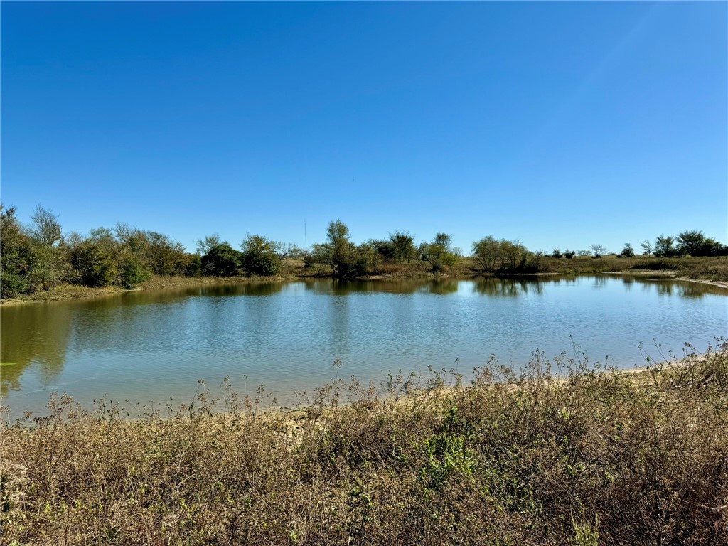 165 Ac Turner Lane, Franklin, Texas image 5