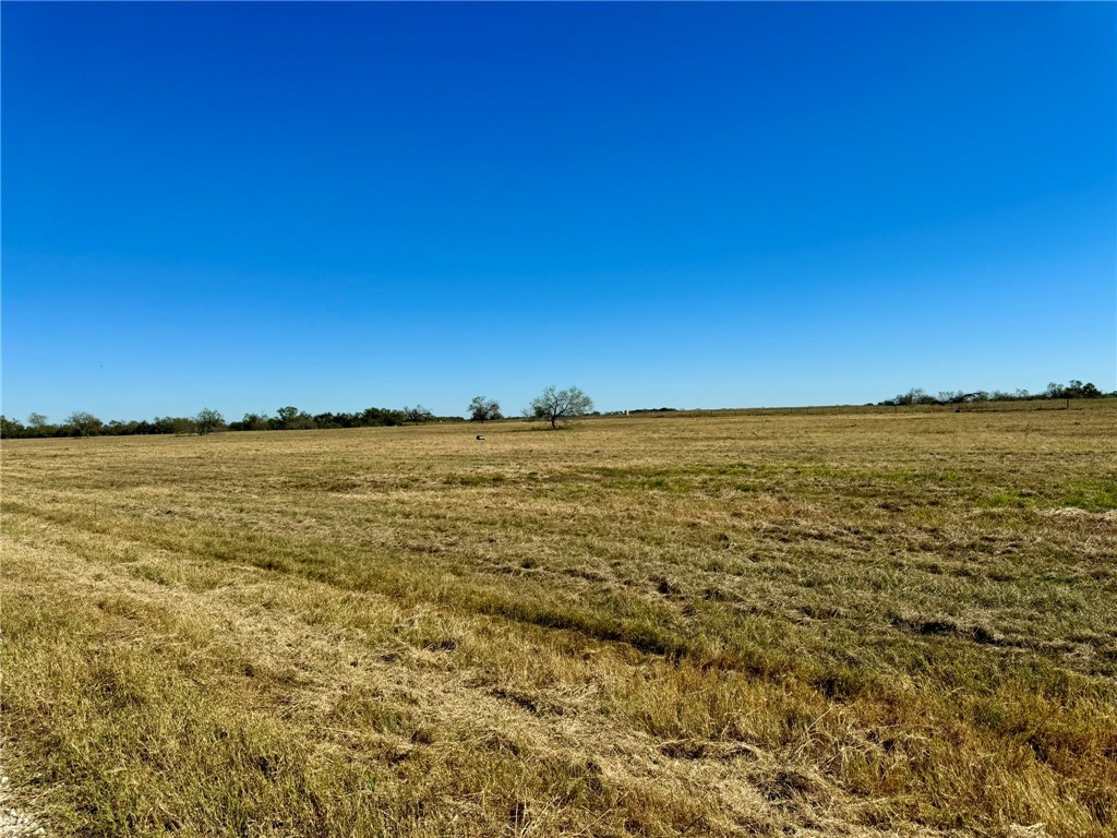 165 Ac Turner Lane, Franklin, Texas image 4