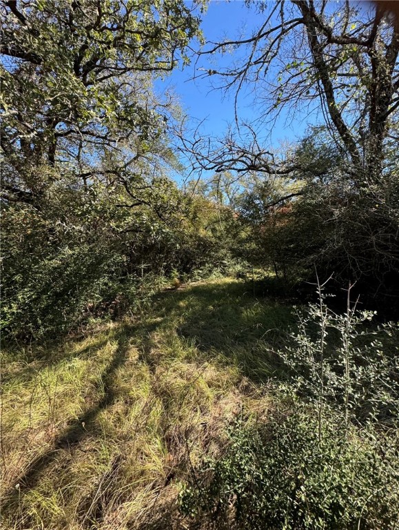 165 Ac Turner Lane, Franklin, Texas image 14