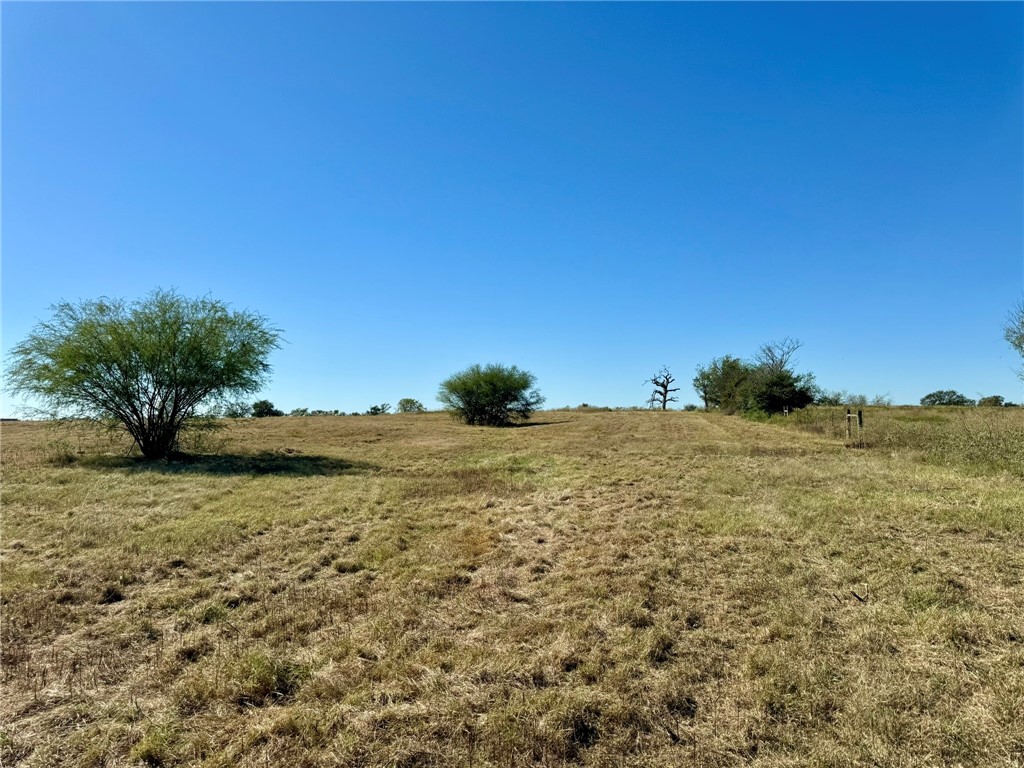 165 Ac Turner Lane, Franklin, Texas image 9