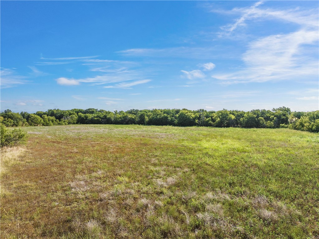 TBD Hwy 77 Highway, Rosebud, Texas image 4