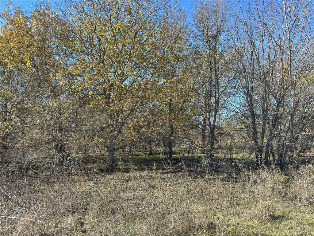 TBD Tract 1 Talbert Ranch Road, China Spring, Texas image 49