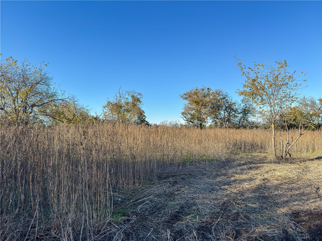 TBD Tract 1 Talbert Ranch Road, China Spring, Texas image 34