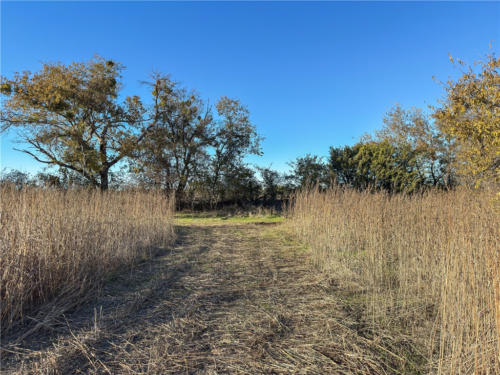 TBD Tract 1 Talbert Ranch Road, China Spring, Texas image 35