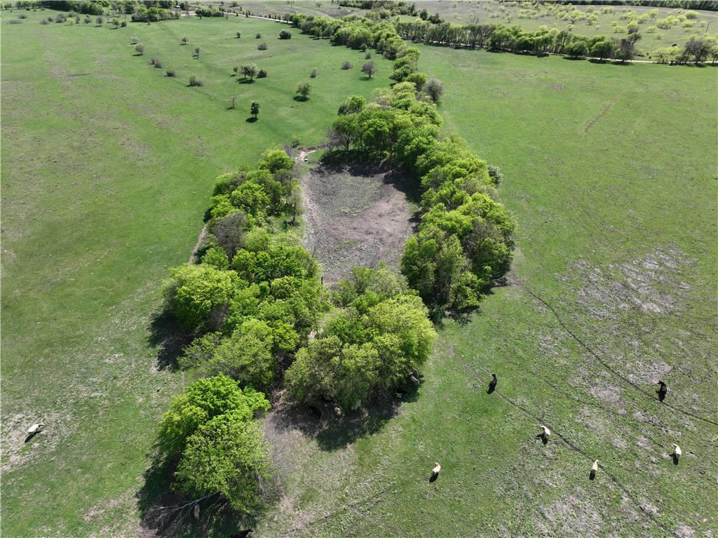 TBD Lot 3 Cr 452 Road, Eddy, Texas image 10