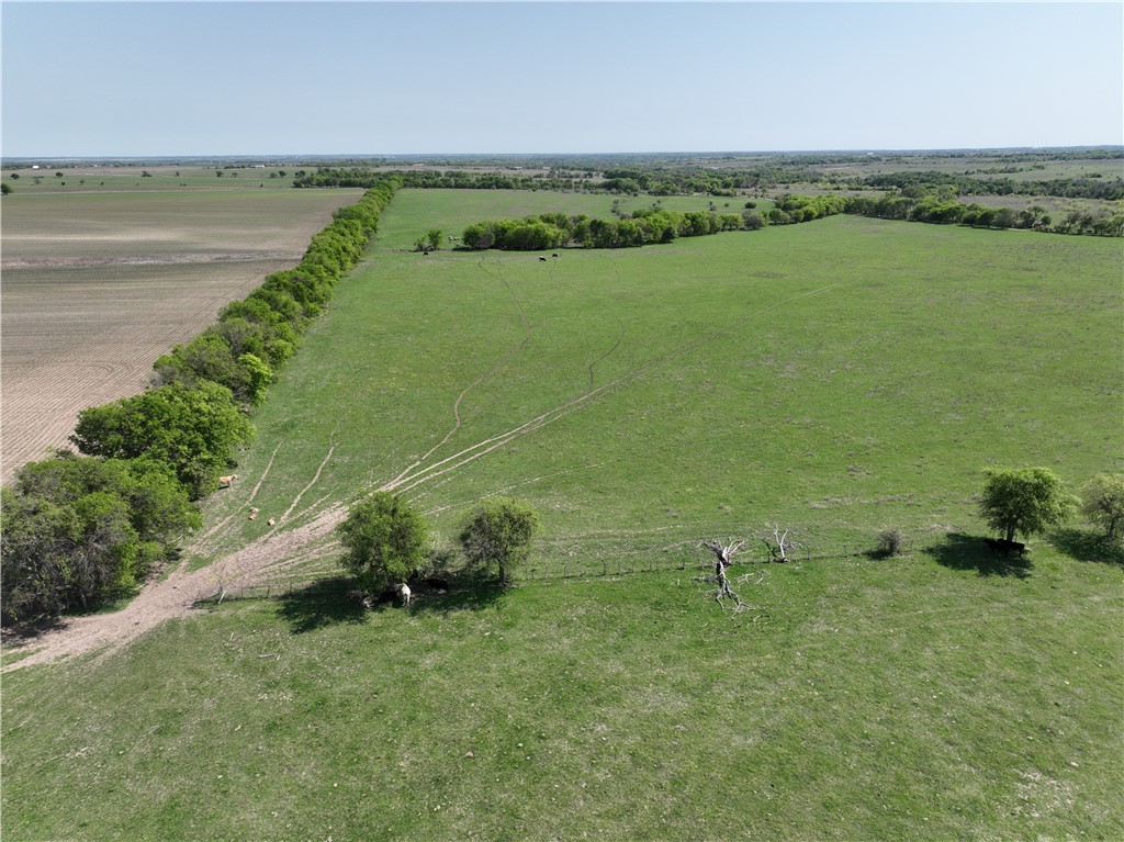 TBD Lot 3 Cr 452 Road, Eddy, Texas image 5