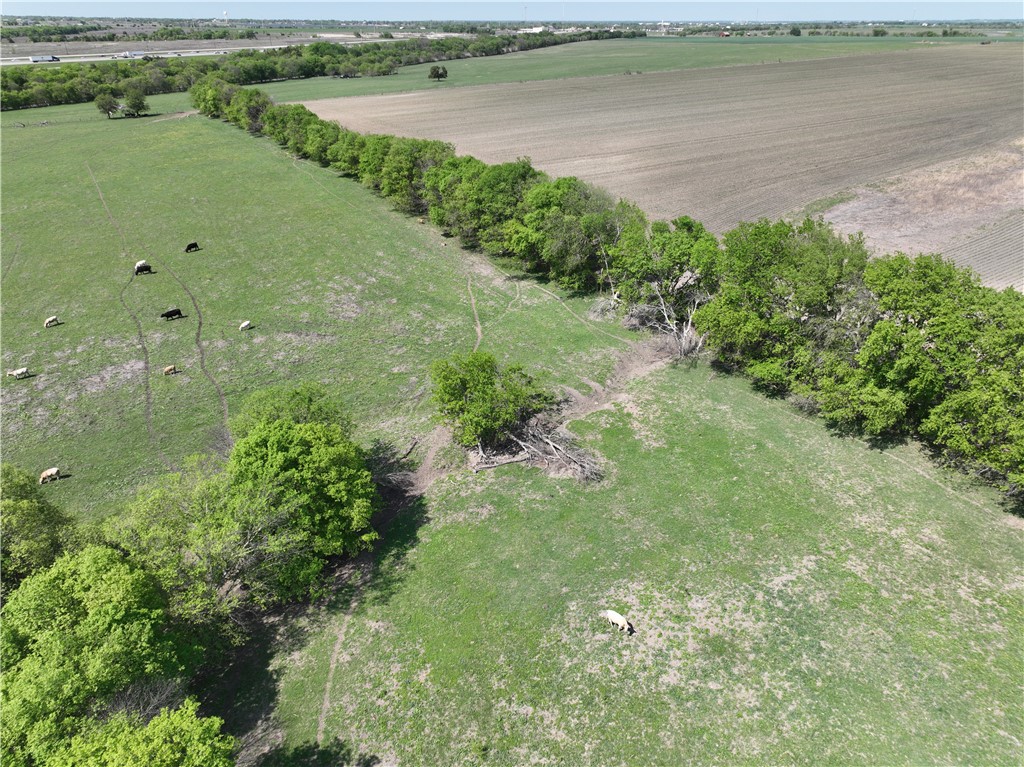 TBD Lot 3 Cr 452 Road, Eddy, Texas image 6