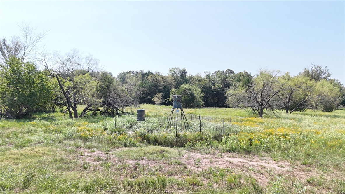 TBD Lcr 723, Thornton, Texas image 8