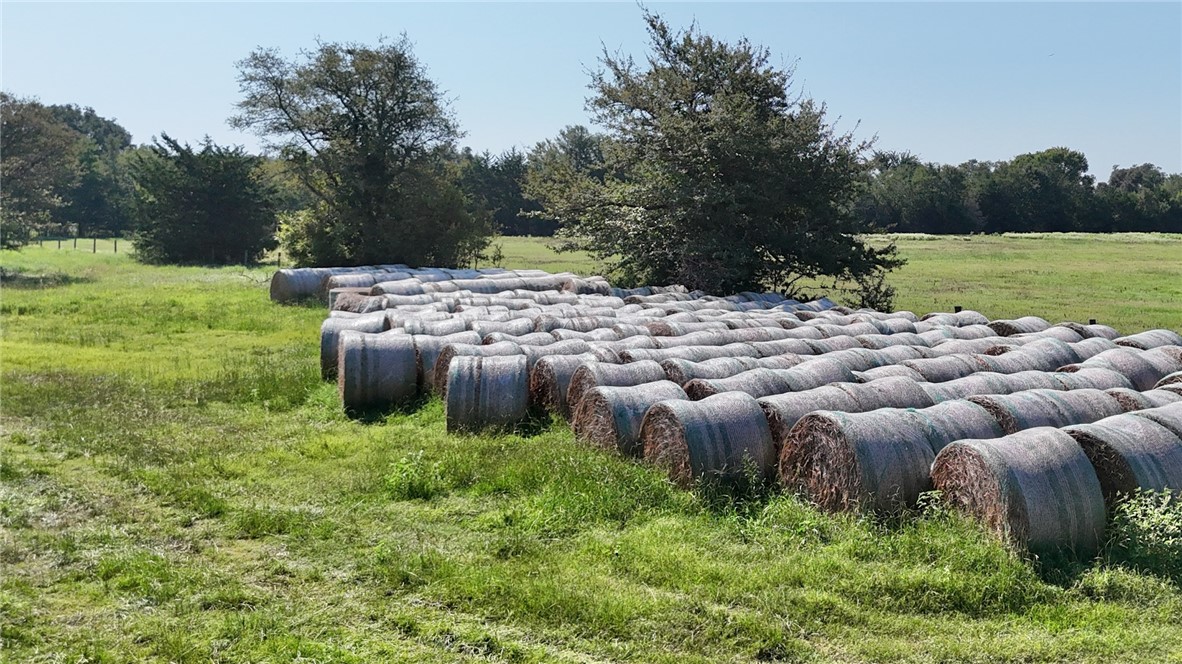 TBD Lcr 723, Thornton, Texas image 6