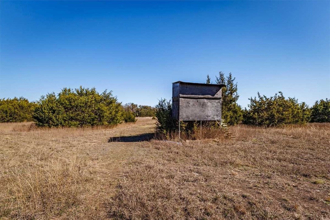 2998 Straws Mill Road, Gatesville, Texas image 12